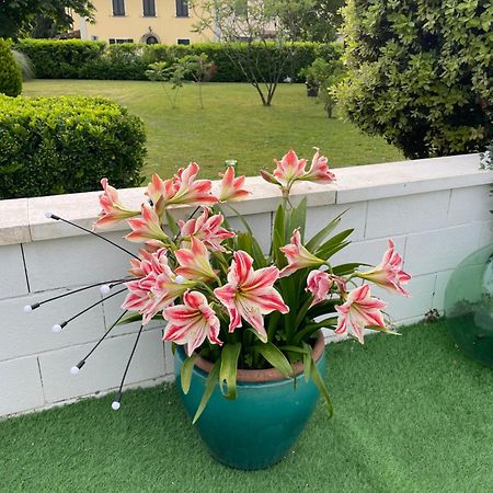 Apartamento Galleno House Exterior foto